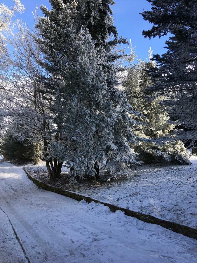 Medvedi Boudy Villa Loučná pod Klínovcem Exteriör bild